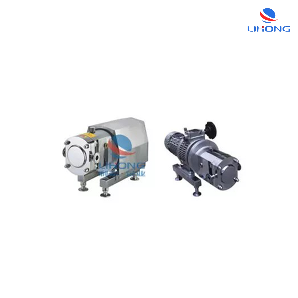 SS304 rotor pump