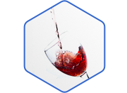 Wine brewing equipment