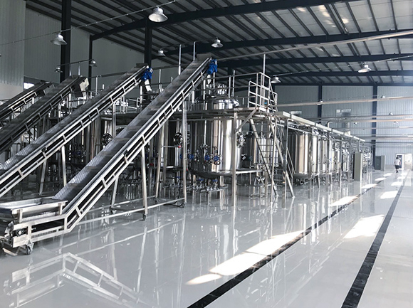 Collagen peptide engineering
